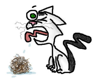 hairball-1
